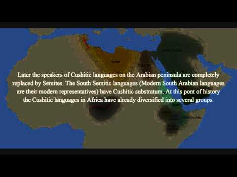 The Expansion of Afroasiatic Languages II