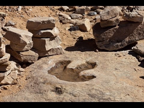 Dinosaur Footprints DISCOVERED in Alaska's National Park: BREAKING NEWS