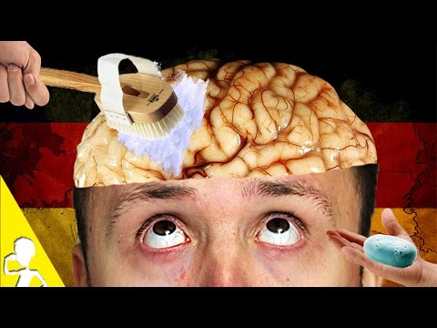 Are All Germans Brainwashed?