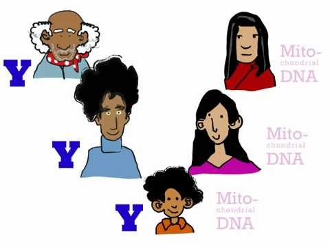 Genetics 101 (Part 3 of 5): Where do your genes come from?