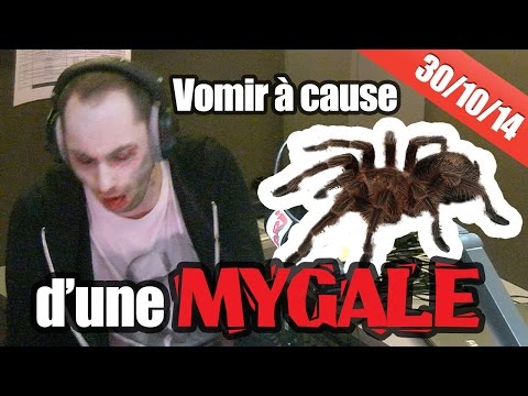 Julien le stagiaire part vomir après avoir vu une mygale !!