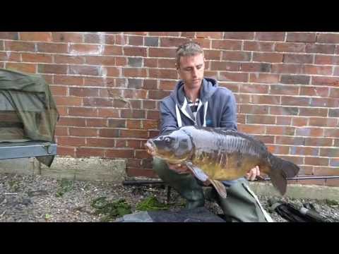 River Thames Carp pt3