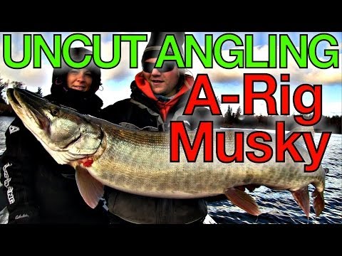 Alabama Rig Musky - Uncut Angling - November 20, 2013