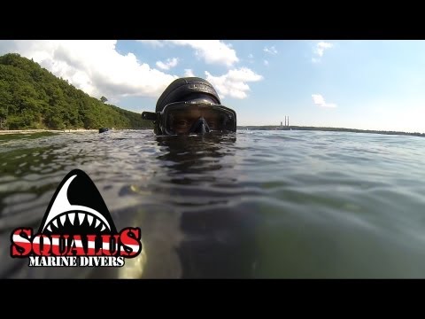 PORT JEFFERSON NY OLD PIER DIVE - SQUALUS MARINE DIVERS