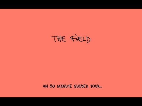 The Field 2007-2013 Mix 