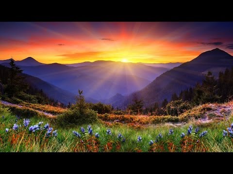 Relaxing Music - 3 HOURS | Piano | - Healing, Sleep, Spa, Study