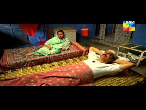 Digest Writer Episode 2 HUM TV Drama Full Episode