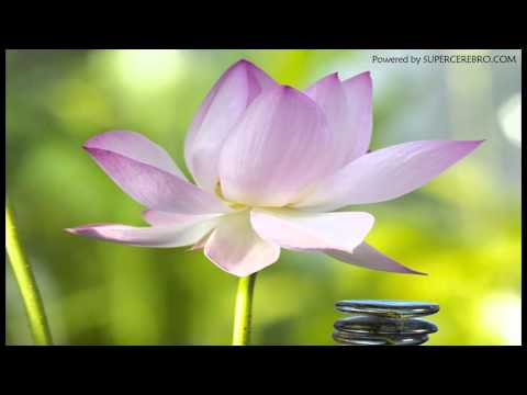 Extremely Powerful Pure Clean Positive Energy Raise Vibration Binaural