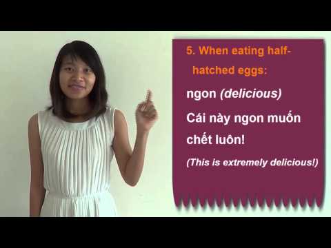 Learn Vietnamese Language With Annie - Lesson 27: How to exaggerate your feelings in Vietnamese