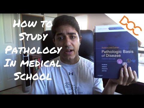 How to Study Pathology in Medical School