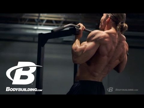 Built by Science - Anatomy, Biomechanics, & 6 Week Training Program - Back - Bodybuilding.com