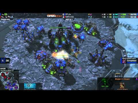 Dreamhack Open Winter 2014 Grand Final Day 3 - ForGG vs Life