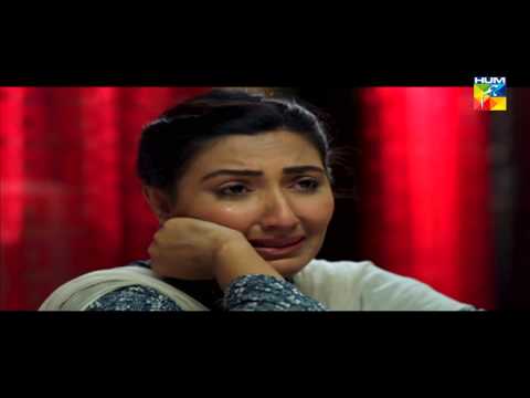 Digest Writer Episode 4 HUM TV Drama Full Episode