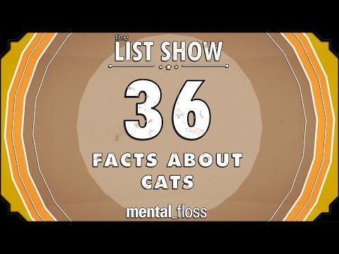 36 Facts About Cats - mental_floss List Show (Ep.221)