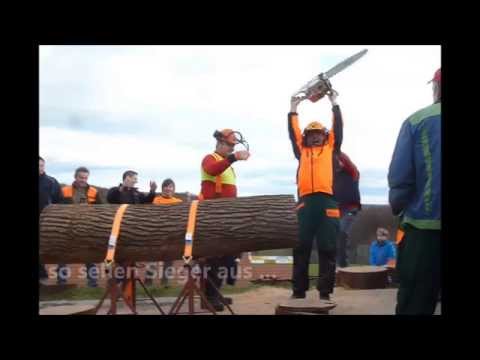 Das Duell der Titanen - Husqvarna Erwin vs Stihl Peppi