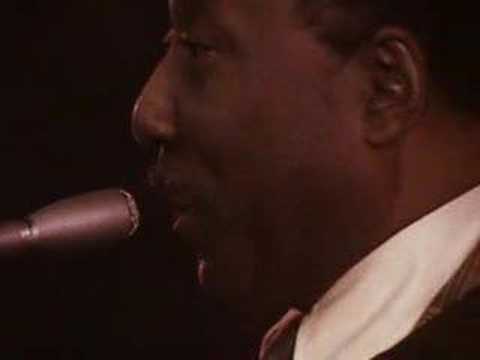 Muddy Waters plays 