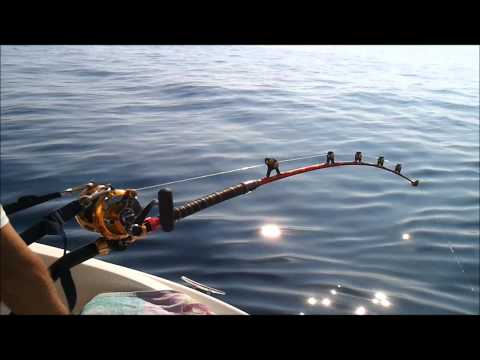 Sports Fishing for Bluefin Tuna in Malta