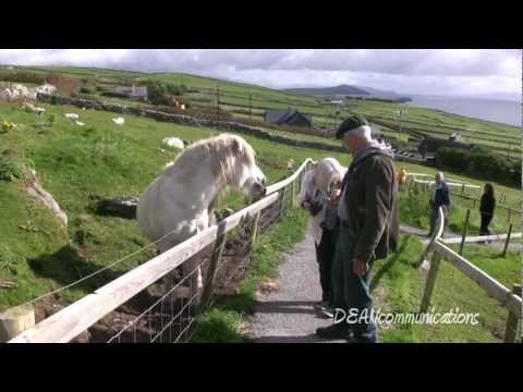 The Ring of Dingle - Ireland's Dingle Peninsula