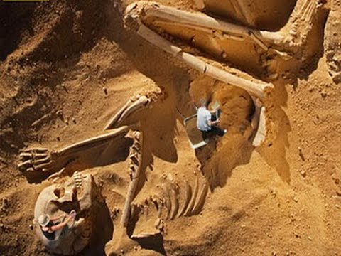 Do Giants Still Live on Earth ? [FULL DOCUMENTARY]