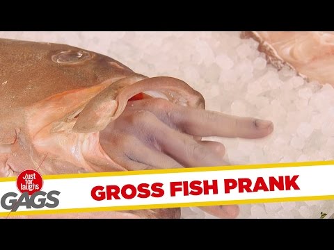 Gross Dead Fish Prank