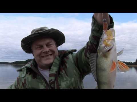 Fishing in Finland - Jigging on the Gulf of Finland