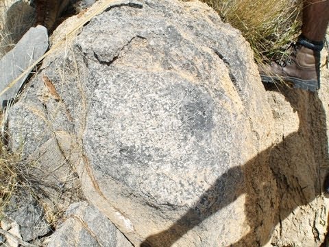 Oldest Animal-Built REEF Found in Namibia: BREAKING NEWS