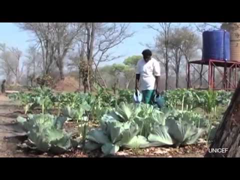 Extreme Drought Causes Food and Water Crisis in Namibia