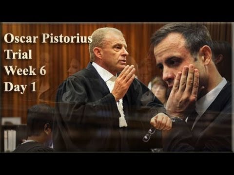 Oscar Pistorius Trial: Monday 14 April 2014, Session 3