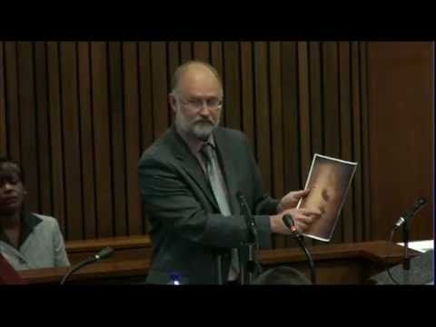 Oscar Pistorius Trial: Wednesday 16 April 2014, Session 1