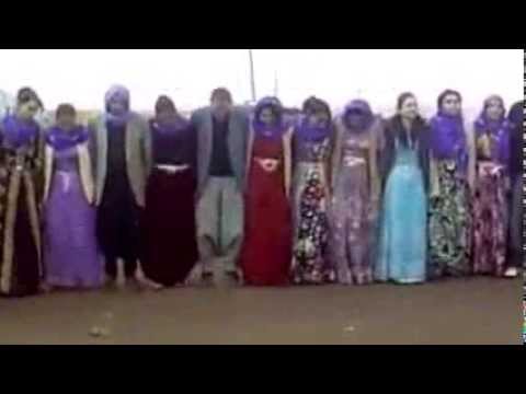 URFA HALAYLARI TARZ ŞEWKO MÜZİK Bİ BAŞKA HALAY DEHŞET HALAY