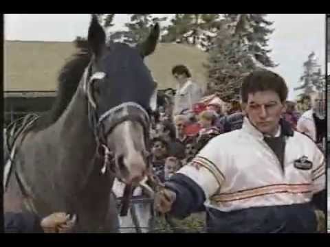 Izvestia Goodbye Tribute 1991 - Canadian Triple Crown Winner