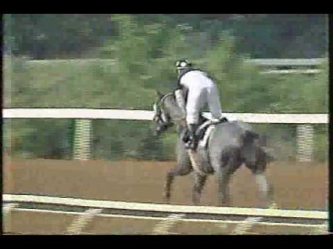 Izvestia Prince of Wales Stakes 1990 - Canadian Triple Crown