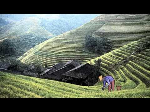 The Story of the Chinese Farmer