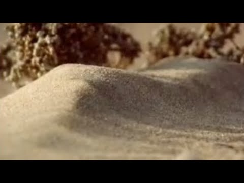 How to make a sand dune - Dune - BBC wildlife