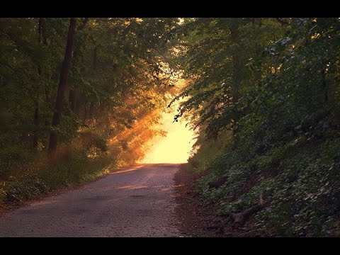 Robert Betz - Sei nicht gut sei wahrhaftig