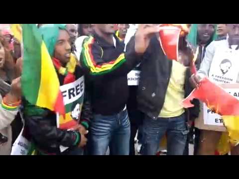 Angry Ethiopians in Switzerland burned TPLF logo