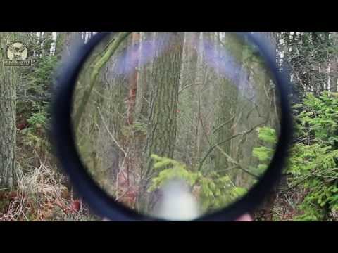 Hunting in Poland ; Roe buck hunt; Driven hunt ;red deer hunt