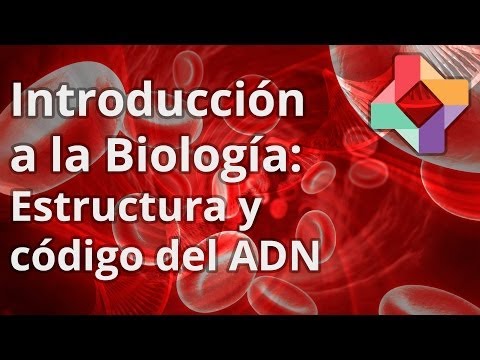 Estructura y código del ADN - Biología - Educatina