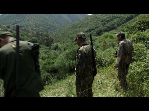 Algeria boar hunters return cautiously after civil war hiatus