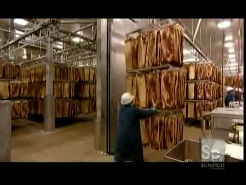 How It's Made Bacon