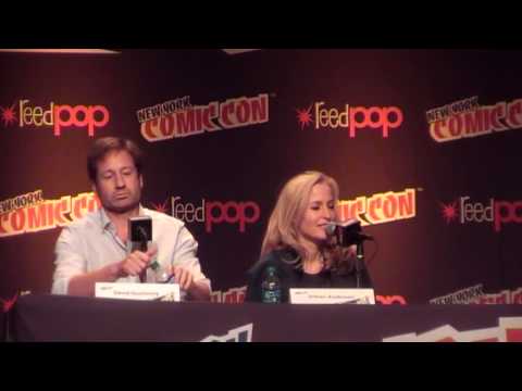 NYCC 2013 XF-Panel with Gillian Anderson & David Duchovny