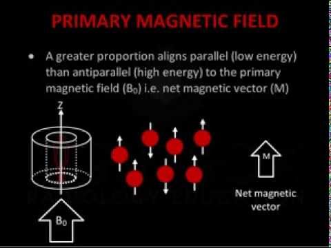 Introduction to MRI Physics