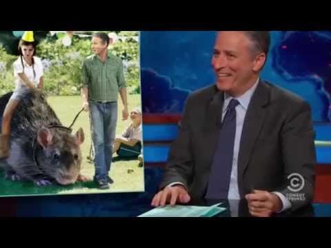 Jon Stewart Blasts Corporations On Tax Evasion Tactics - 7-30-2014