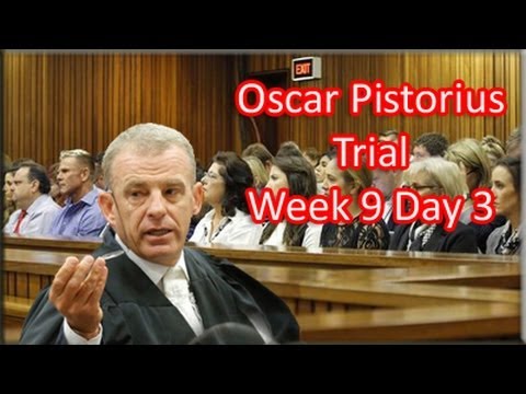 Oscar Pistorius Trial: Wednesday 2 July 2014, Session 3