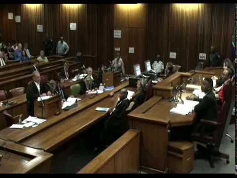 Oscar Pistorius Pre-Sentencing Arguments: Tuesday 14 October 2014, Session 2