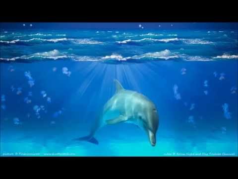 9 Hours of Relaxing Music | Relaxation Music - New Age Music