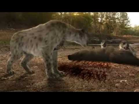 Discovery Channel   Prehistoric Dallas