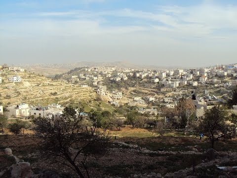 Should Palestine be recognised as a state alongside Israel - MPs debate