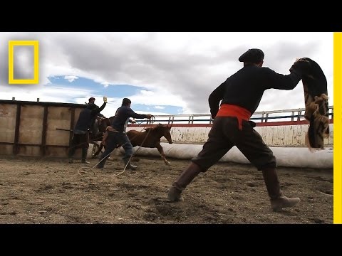 Gauchos: Life Near the Edge of the World