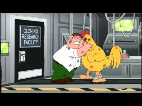 Epic Chicken Fight | FAMILY GUY | FOX BROADCASTING